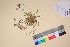  ( - TROM_V_135847_sg)  @11 [ ] CreativeCommons - Attribution Non-Commercial Share-Alike (2017) Unspecified Tromsø University Museum