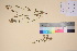  ( - TROM_V_135847_sg)  @11 [ ] CreativeCommons - Attribution Non-Commercial Share-Alike (2017) Unspecified Tromsø University Museum