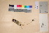 ( - TROM_V_135868_sg)  @11 [ ] CreativeCommons - Attribution Non-Commercial Share-Alike (2017) Unspecified Tromsø University Museum
