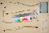  ( - TROM_V_135877_sg)  @11 [ ] CreativeCommons - Attribution Non-Commercial Share-Alike (2017) Unspecified Tromsø University Museum