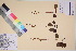  ( - TROM_V_135925_sg)  @11 [ ] CreativeCommons - Attribution Non-Commercial Share-Alike (2017) Unspecified Tromsø University Museum
