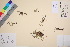  ( - TROM_V_14533_sg)  @11 [ ] CreativeCommons - Attribution Non-Commercial Share-Alike (2016) Unspecified Tromsø University Museum