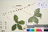  ( - TROM_V_148164_sg)  @11 [ ] CreativeCommons - Attribution Non-Commercial Share-Alike (2016) Unspecified Tromso University Museum