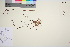  ( - TROM_V_148288_sg)  @11 [ ] CreativeCommons - Attribution Non-Commercial Share-Alike (2016) Unspecified Tromso University Museum