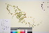  ( - TROM_V_148601_sg)  @11 [ ] CreativeCommons - Attribution Non-Commercial Share-Alike (2016) Unspecified Tromso University Museum
