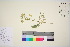  ( - TROM_V_148646_sg)  @11 [ ] CreativeCommons - Attribution Non-Commercial Share-Alike (2016) Unspecified Tromso University Museum