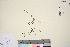  ( - TROM_V_162181_sg)  @11 [ ] CreativeCommons - Attribution Non-Commercial Share-Alike (2016) Unspecified Tromso University Museum