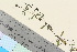  ( - TROM_V_162181_sg)  @11 [ ] CreativeCommons - Attribution Non-Commercial Share-Alike (2016) Unspecified Tromso University Museum