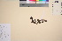  ( - TROM_V_162271_sg)  @11 [ ] CreativeCommons - Attribution Non-Commercial Share-Alike (2016) Unspecified Tromso University Museum