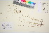  ( - TROM_V_162482_sg)  @11 [ ] CreativeCommons - Attribution Non-Commercial Share-Alike (2016) Unspecified Tromso University Museum