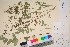  ( - TROM_V_164223_sg)  @11 [ ] CreativeCommons - Attribution Non-Commercial Share-Alike (2017) Unspecified Tromsø University Museum