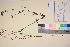  ( - TROM_V_170825_sg)  @11 [ ] CreativeCommons - Attribution Non-Commercial Share-Alike (2017) Unspecified Tromsø University Museum