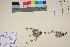  ( - TROM_V_200498_sg)  @11 [ ] CreativeCommons - Attribution Non-Commercial Share-Alike (2017) Unspecified Tromsø University Museum