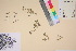  ( - TROM_V_201522_sg)  @11 [ ] CreativeCommons - Attribution Non-Commercial Share-Alike (2017) Unspecified Tromsø University Museum