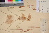  ( - TROM_V_201568_sg)  @11 [ ] CreativeCommons - Attribution Non-Commercial Share-Alike (2017) Unspecified Tromsø University Museum