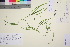  ( - TROM_V_202789_sg)  @11 [ ] CreativeCommons - Attribution Non-Commercial Share-Alike (2016) Unspecified Tromso University Museum