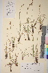  ( - TROM_V_21704_sg)  @11 [ ] CreativeCommons - Attribution Non-Commercial Share-Alike (2017) Unspecified Tromsø University Museum