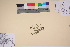  ( - TROM_V_300960_sg)  @11 [ ] CreativeCommons - Attribution Non-Commercial Share-Alike (2017) Unspecified Tromsø University Museum