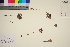  ( - TROM_V_350281_sg)  @11 [ ] CreativeCommons - Attribution Non-Commercial Share-Alike (2016) Unspecified Tromso University Museum