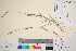  ( - TROM_V_350901_sg)  @11 [ ] CreativeCommons - Attribution Non-Commercial Share-Alike (2016) Unspecified Tromso University Museum