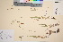  ( - TROM_V_37573_sg)  @11 [ ] CreativeCommons - Attribution Non-Commercial Share-Alike (2016) Unspecified Tromso University Museum