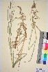  ( - TROM_V_4387_sg)  @11 [ ] CreativeCommons - Attribution Non-Commercial Share-Alike (2016) Unspecified Tromsø University Museum