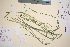  ( - TROM_V_4388_sg)  @11 [ ] CreativeCommons - Attribution Non-Commercial Share-Alike (2016) Unspecified Tromsø University Museum