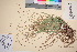  ( - TROM_V_45446_sg)  @11 [ ] CreativeCommons - Attribution Non-Commercial Share-Alike (2016) Unspecified Tromso University Museum