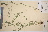  ( - TROM_V_48895_sg)  @11 [ ] CreativeCommons - Attribution Non-Commercial Share-Alike (2016) Unspecified Tromso University Museum