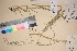  ( - TROM_V_48897_sg)  @11 [ ] CreativeCommons - Attribution Non-Commercial Share-Alike (2017) Unspecified Tromsø University Museum