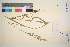  ( - TROM_V_49043_sg)  @11 [ ] CreativeCommons - Attribution Non-Commercial Share-Alike (2016) Unspecified Tromso University Museum