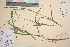  ( - TROM_V_56437_sg)  @11 [ ] CreativeCommons - Attribution Non-Commercial Share-Alike (2016) Unspecified Tromso University Museum
