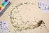  ( - TROM_V_59354_sg)  @11 [ ] CreativeCommons - Attribution Non-Commercial Share-Alike (2016) Unspecified Tromso University Museum