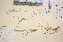  ( - TROM_V_60882_sg)  @11 [ ] CreativeCommons - Attribution Non-Commercial Share-Alike (2016) Unspecified Tromso University Museum