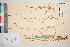  ( - TROM_V_67704_sg)  @11 [ ] CreativeCommons - Attribution Non-Commercial Share-Alike (2016) Unspecified Tromso University Museum