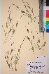  ( - TROM_V_75125_sg)  @11 [ ] CreativeCommons - Attribution Non-Commercial Share-Alike (2017) Unspecified Tromsø University Museum