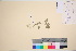  ( - TROM_V_76522_sg)  @11 [ ] CreativeCommons - Attribution Non-Commercial Share-Alike (2016) Unspecified Tromso University Museum