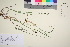  ( - TROM_V_82716_sg)  @11 [ ] CreativeCommons - Attribution Non-Commercial Share-Alike (2016) Unspecified Tromso University Museum