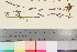  ( - TROM_V_82735_sg)  @11 [ ] CreativeCommons - Attribution Non-Commercial Share-Alike (2016) Unspecified Tromso University Museum
