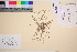 ( - TROM_V_8863_sg)  @11 [ ] CreativeCommons - Attribution Non-Commercial Share-Alike (2016) Unspecified Tromsø University Museum
