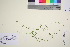  ( - TROM_V_88692_sg)  @11 [ ] CreativeCommons - Attribution Non-Commercial Share-Alike (2016) Unspecified Tromso University Museum