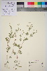  ( - TROM_V_89879_sg)  @11 [ ] CreativeCommons - Attribution Non-Commercial Share-Alike (2016) Unspecified Tromso University Museum