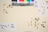  ( - TROM_V_9025_sg)  @11 [ ] CreativeCommons - Attribution Non-Commercial Share-Alike (2016) Unspecified Tromsø University Museum