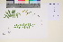  ( - TROM_V_94021_sg)  @11 [ ] CreativeCommons - Attribution Non-Commercial Share-Alike (2017) Unspecified Tromsø University Museum