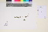  ( - TROM_V_94025_sg)  @11 [ ] CreativeCommons - Attribution Non-Commercial Share-Alike (2017) Unspecified Tromsø University Museum