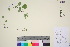  ( - TROM_V_960670_sg)  @11 [ ] CreativeCommons - Attribution Non-Commercial Share-Alike (2016) Unspecified Tromso University Museum