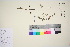  ( - TROM_V_960749_sg)  @11 [ ] CreativeCommons - Attribution Non-Commercial Share-Alike (2016) Unspecified Tromso University Museum
