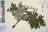 ( - TROM_V_961147_sg)  @11 [ ] CreativeCommons - Attribution Non-Commercial Share-Alike (2016) Unspecified Tromso University Museum