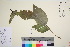  ( - TROM_V_961857_sg)  @11 [ ] CreativeCommons - Attribution Non-Commercial Share-Alike (2016) Unspecified Tromso University Museum