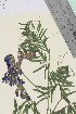 ( - TROM_V_962438_sg)  @11 [ ] CreativeCommons - Attribution Non-Commercial Share-Alike (2015) Unspecified Tromsø University Museum